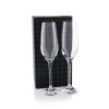 Branded Ariston Champagne Glasses
